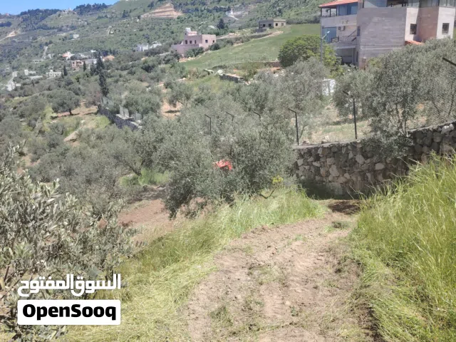 Farm Land for Sale in Salt Al Balqa'
