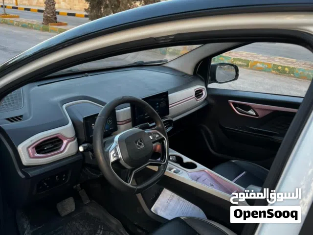 2022, جاك, E10X