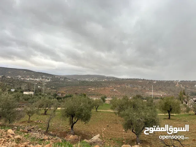 Farm Land for Sale in Zarqa Al-Alouk