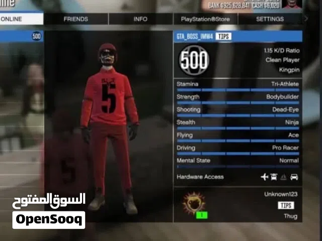 GTA Accounts and Characters for Sale in Northern Governorate