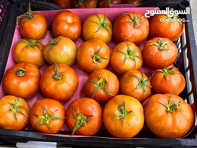 Egyptian Tomatoes