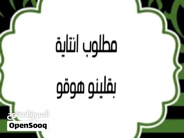 مطلوب انتاية بقلينو هوقو