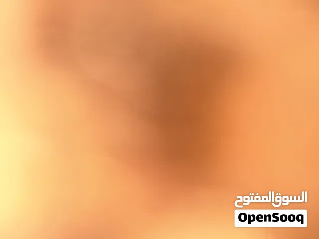 غرف للإيجار الشهري  بجانب كليه الخليج