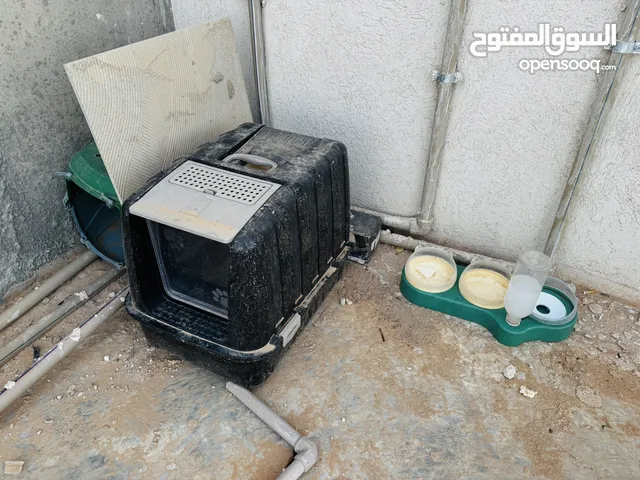 انتى العمر35 يوم ناشطه مشاءالله