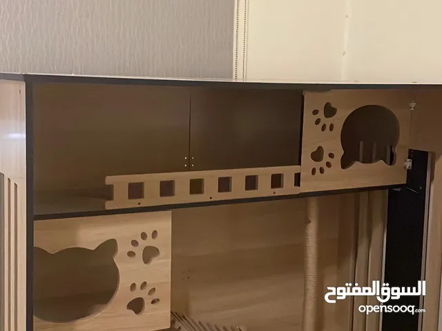 بيت قطه او كلب