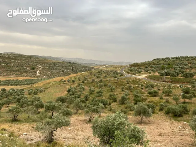 Mixed Use Land for Sale in Nablus Bazariya