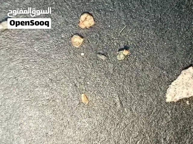 غبار نجمي + نيازك بحجم حبة سمسم