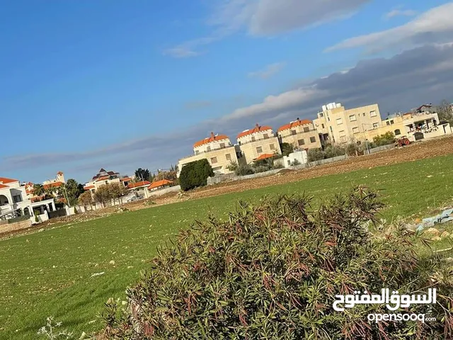 قطعة ارض للبيع مساحتها 950 متر سكن ب شغل اسكانات حوض اطوال ايدون قرب دوار الثقافة