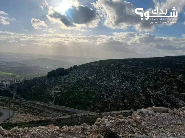 Mixed Use Land for Sale in Nablus Beit Imreen