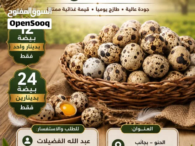 بيض سمان فري جامبو