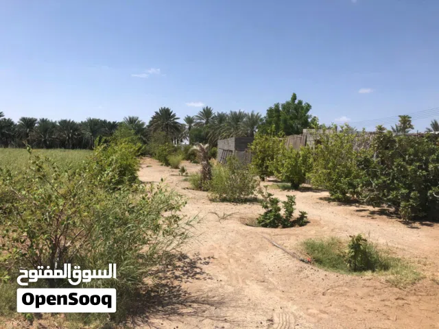 للبيع مزرعة ولاية سناو