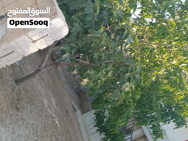 600 m2 More than 6 bedrooms Townhouse for Sale in Amman Marj El Hamam