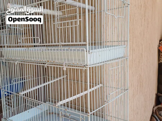 سلاكه 4دوار اقرأ الوصف