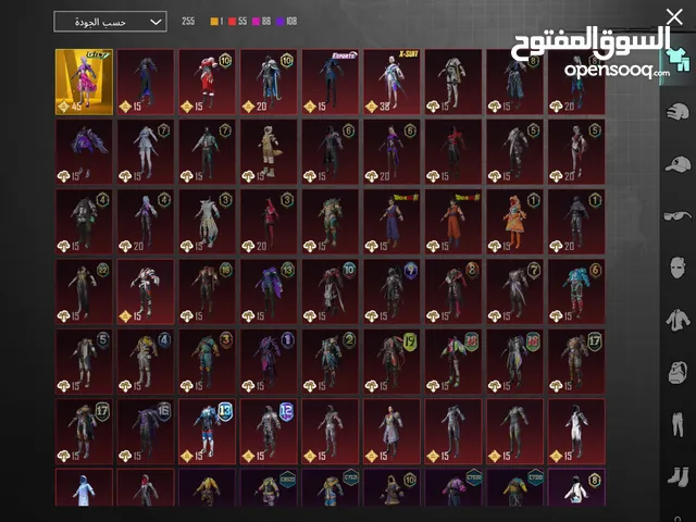 Pubg Accounts and Characters for Sale in Amman