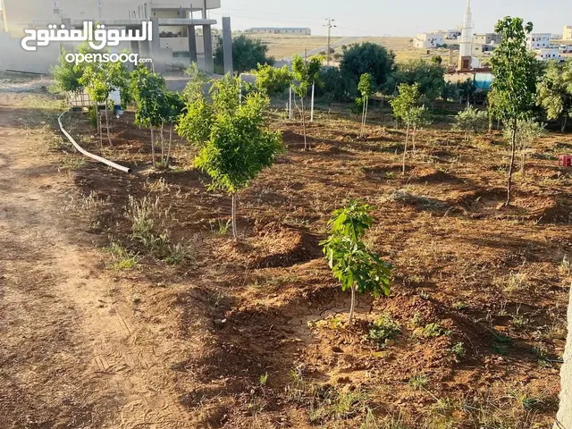 Mixed Use Land for Sale in Mafraq Manshiyyet Bani Hassan