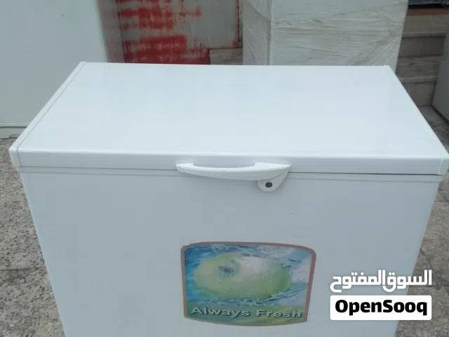 فريزر بطخ اكشن 255لتر جديد ستوك توفير للكهرباء بسعر 125د