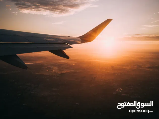 حيوانات وإكسسوارات / قطط for test