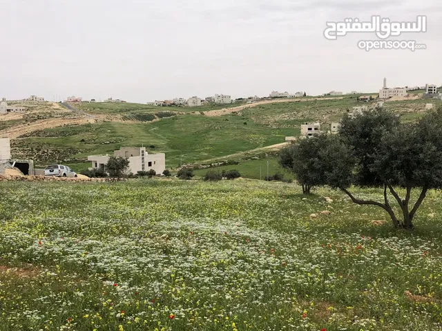 أرض للبيع حوض المقرن مساحتها 500م خلف مسجد مطر