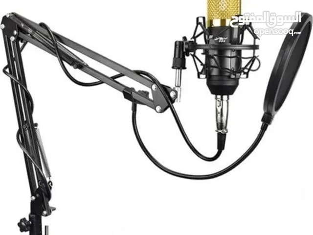 BM800 microphone