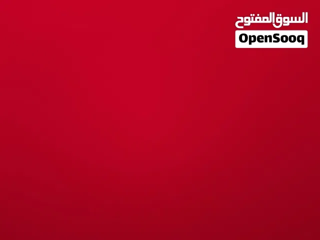 مطلوب قطة سكوتش فولد او برتش للتبني مايهم العمر اهم شي مطعمة