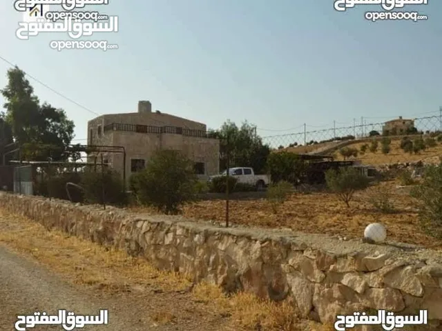 3 Bedrooms Farms for Sale in Mafraq Rhab