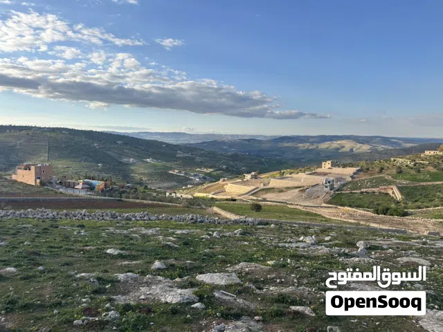 Farm Land for Sale in Zarqa Sarout