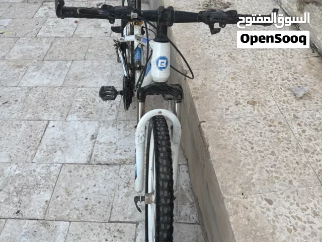 بسكليت أمريكي 24