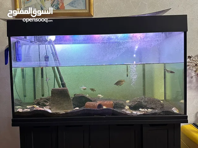 Complete 4ft Fish Tank with Cabinet CO2 System & Accessories – Ready Setup!