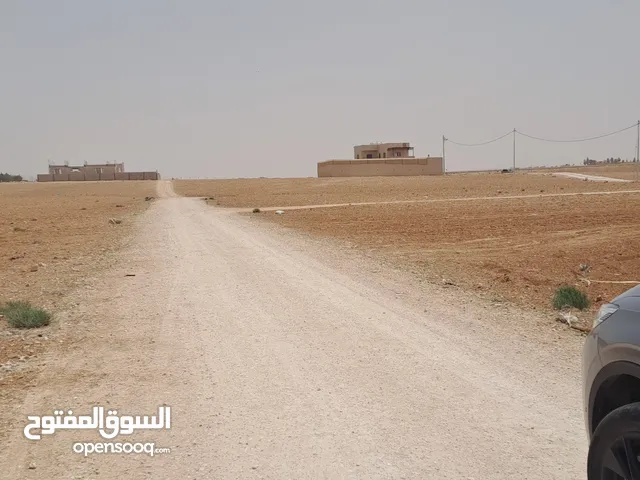 نمرة 625 متر خلف فندق مطار الملكة علياء تصلح لشاليه