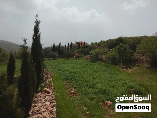 Mixed Use Land for Sale in Ajloun Downtown