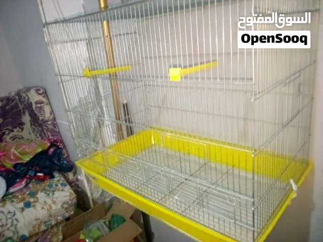 مطير عصافير