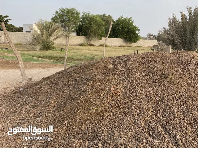 سماد بوش وغنم كل نوع بروحه(مجانا)