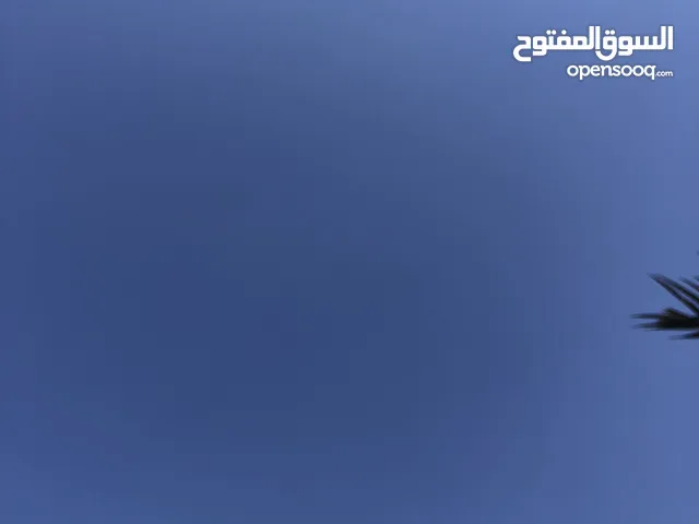 2 هنجر للايجار سقف سندوتش طريق المشتل قرب شيل المشتل
