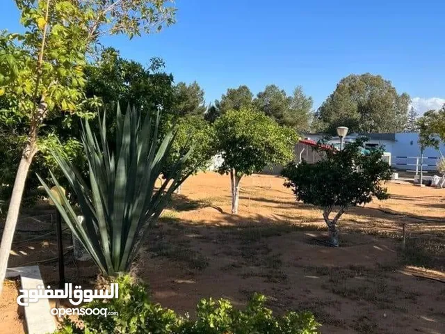 Residential Land for Sale in Tripoli Ain Zara