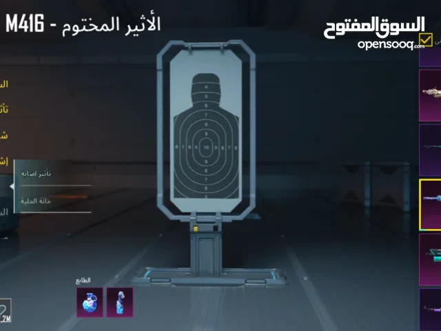 Pubg Accounts and Characters for Sale in Alexandria