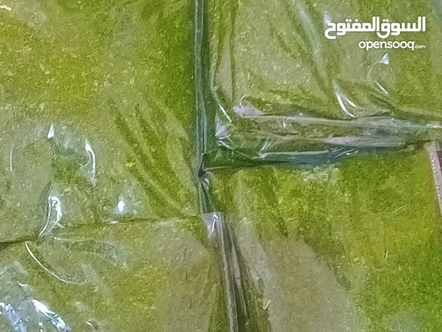 ملوخية للتواصي