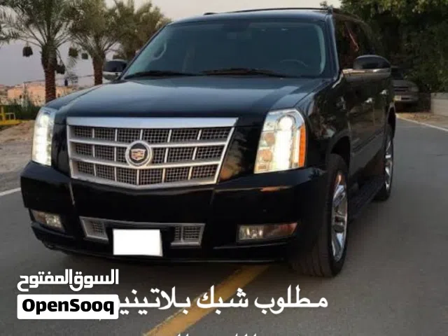 مطلووب شبك سكاليد بلاتينيوم