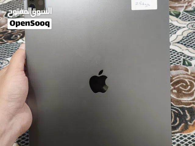 IPad Pro 4th Generation 256GB (WiFi+Cellular)