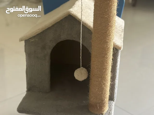 Cat play house