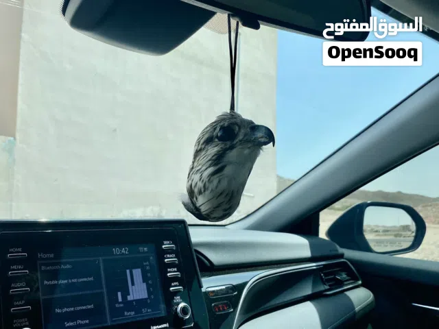تعليقة سيارة ديور