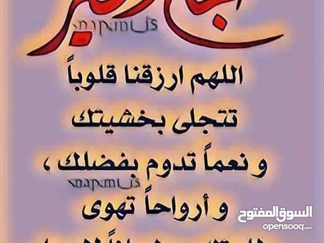 شقه للايجار