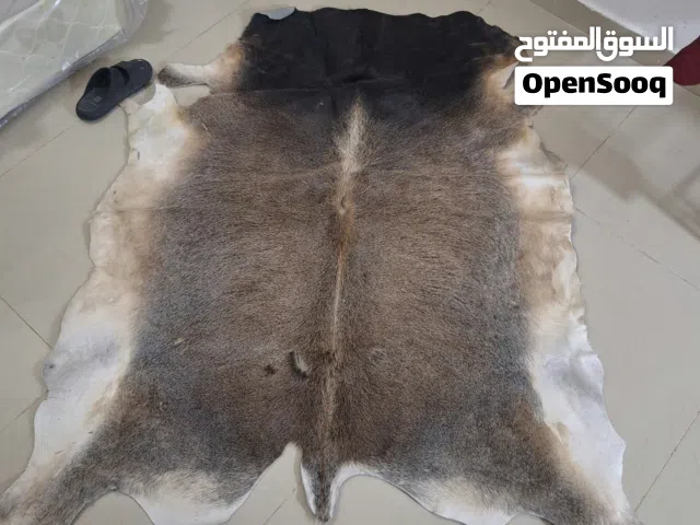 جلود طبیعیه من الماعز و البقر