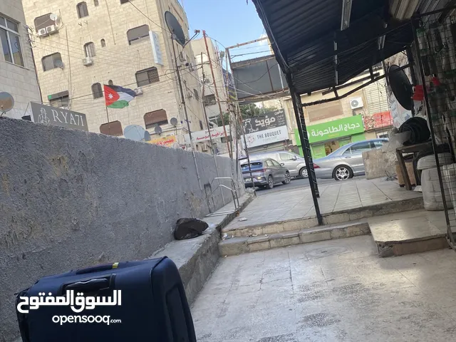 كلاب للبع ممم