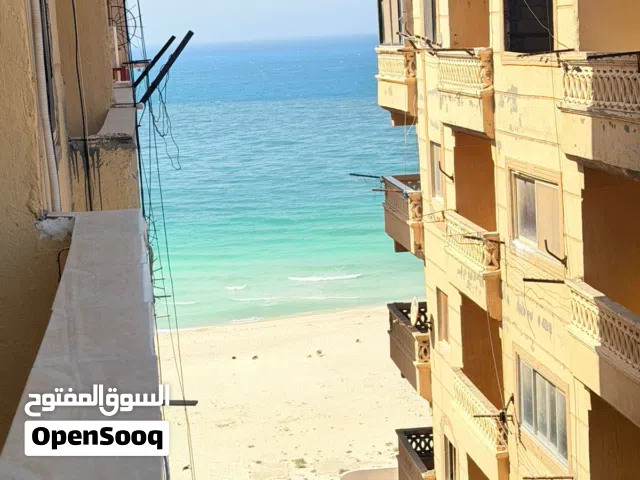 عايزة مشتري جاد لشقة في الصفا الكيلو 22 استلام فوري كاش ب 530 الف جنيه فقط لضرورة البيع