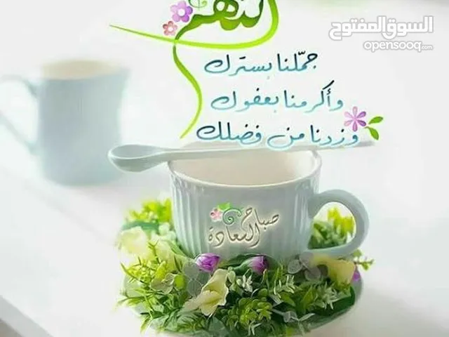Elementary Teacher in Amman