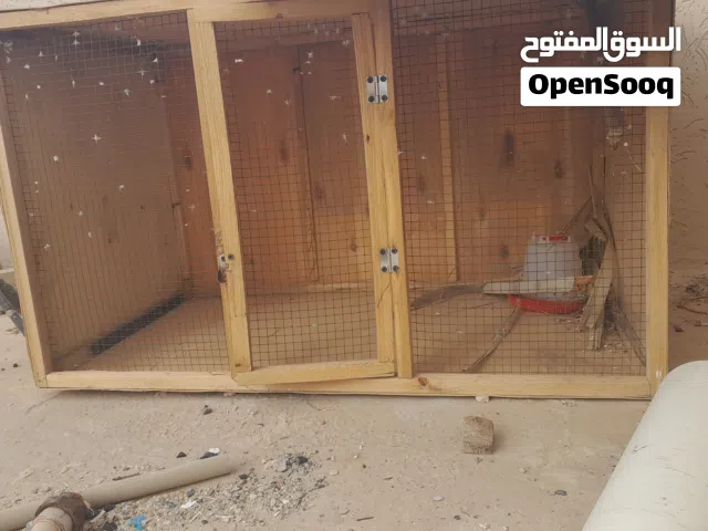 سلام عليكم بارتي حمام