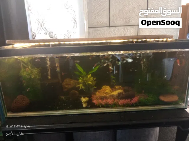 حوض سمك كامل للبيع