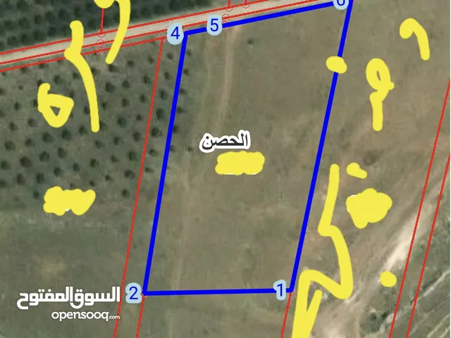 بأعلى قمة حوض نومره وخديجه مساحة القطعه 5450 م2 على شارعين كاشفه الشمال كامل ارض مستويه اطلاله خلابه