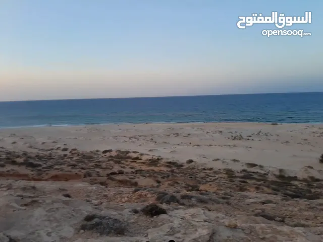 قطعة ارض في غنيمة علي البحر مباشرة...                                                    .         .