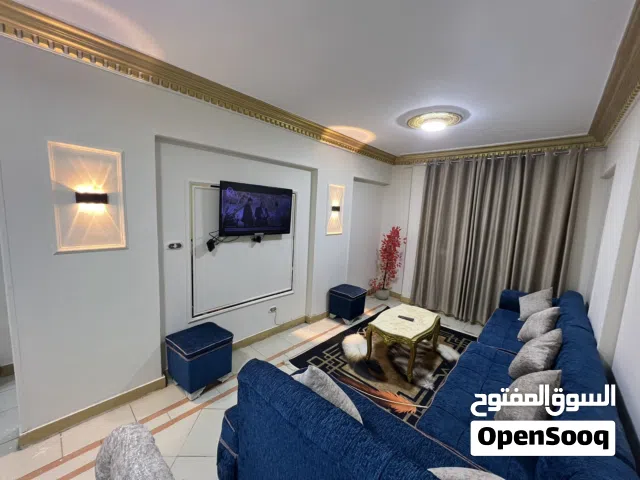 Furnished Daily in Alexandria Miami